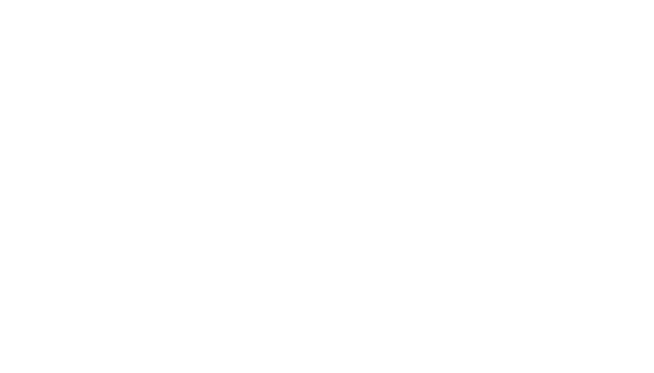 STW-Logo-White-01