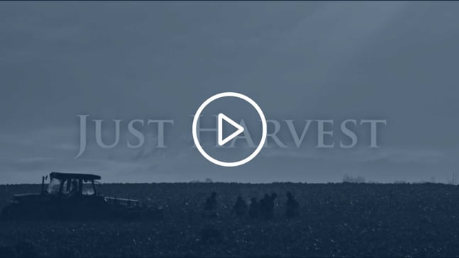 Just Harvest Book Trailer